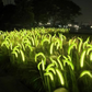 Set 2 Lampi Solare Decorative tip Iarba Ornamentala Verde M374-23, 80cm, lumina calda, IP66