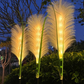 Set 2 Lampi Solare Decorative tip Iarba Pampas cu LED M374-22, 70cm, lumina calda, IP66