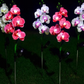 Set 2 x Lampi Solare Orhidee cu LED – Decor Romantic pentru Gradina, Tarus si Panou Solar