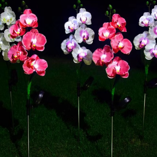 Set 2 x Lampi Solare Orhidee cu LED – Decor Romantic pentru Gradina, Tarus si Panou Solar