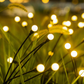 Black Friday - set 4 x Lampa Solara Magia Licuricilor , Decoratiune de Gradina, LED, Lumina Calda